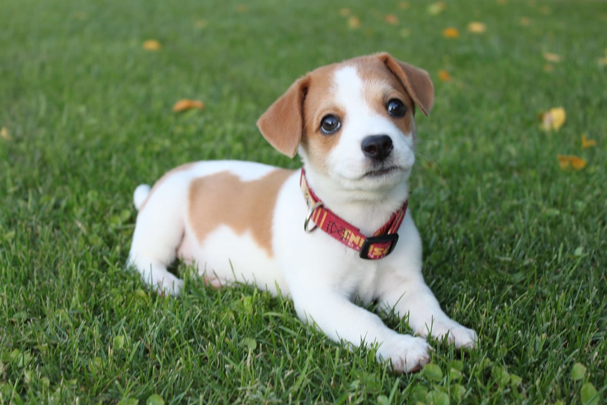 Self-storage helping you prep for a new family member