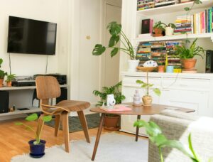 Living room with plants 